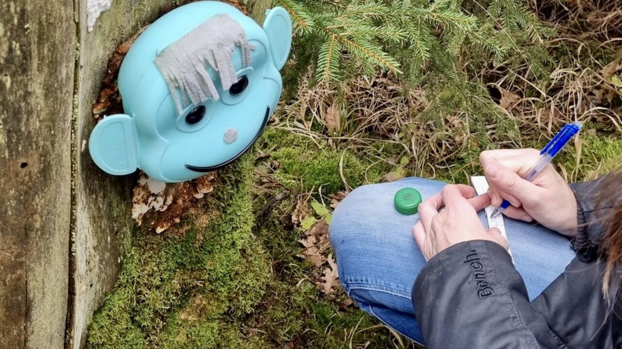 Kamp yaparken çocuklarla bir açık hava oyunu olarak Geocaching